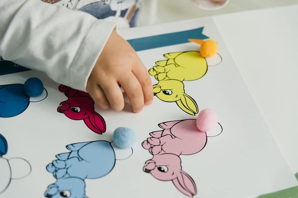 What Are the Signs of Cognitive Decline in Aging Pets and How to Support Them?