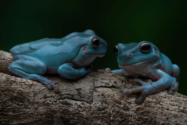 How to Pair Chunky Sneakers with Feminine Dresses for a Balanced Look?